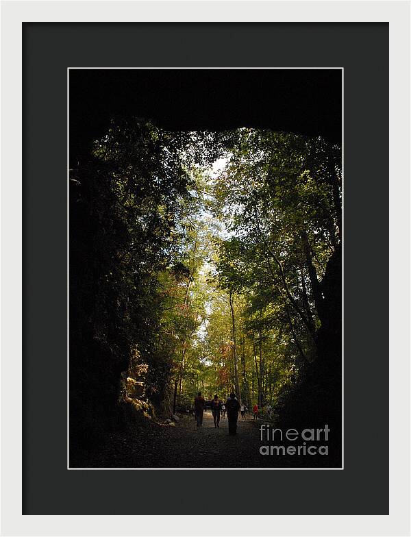 Stroll Through Forest Tunnel - Framed Print