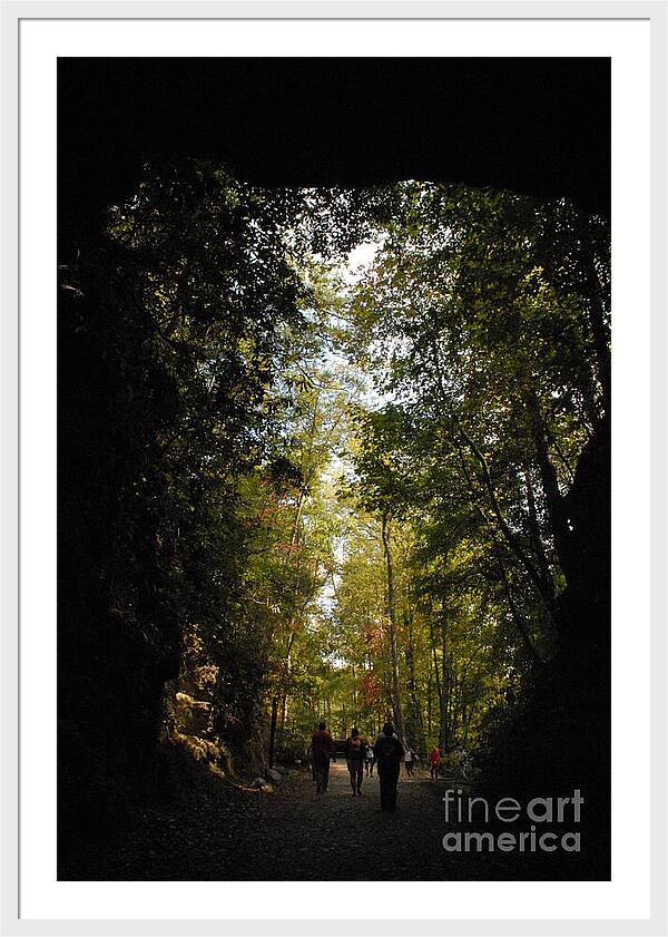 Stroll Through Forest Tunnel - Framed Print