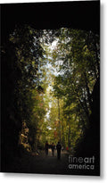 Stroll Through Forest Tunnel - Metal Print