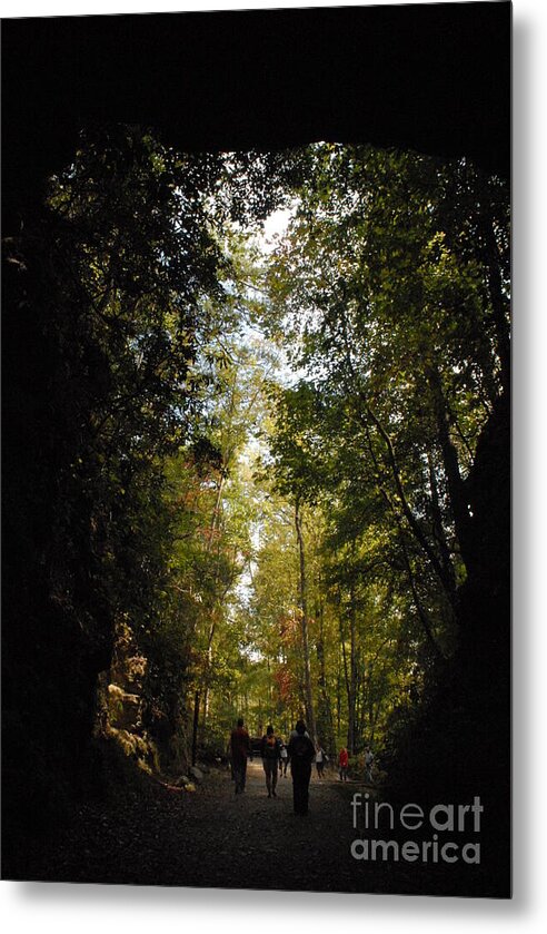 Stroll Through Forest Tunnel - Metal Print