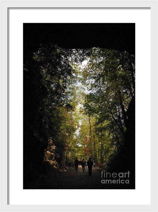 Stroll Through Forest Tunnel - Framed Print