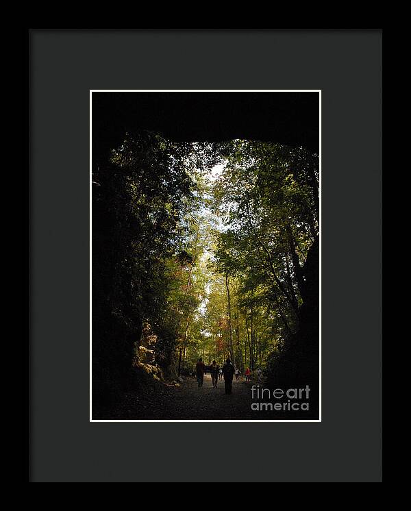 Stroll Through Forest Tunnel - Framed Print