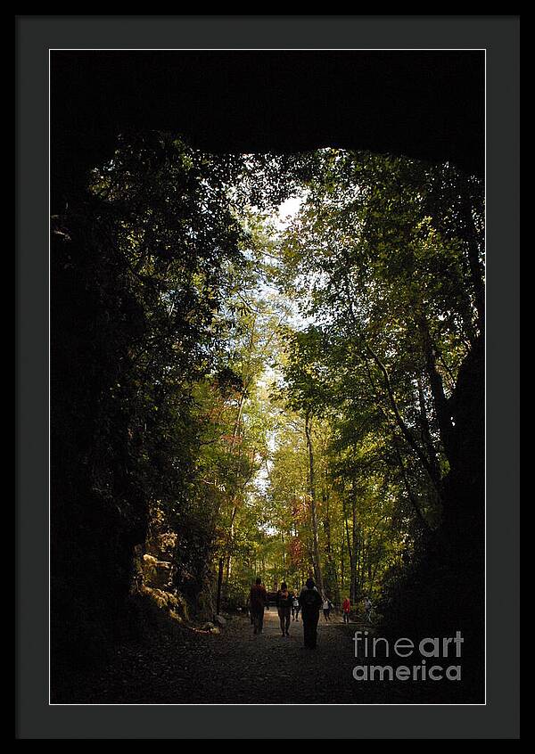 Stroll Through Forest Tunnel - Framed Print