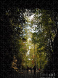 Stroll Through Forest Tunnel - Puzzle