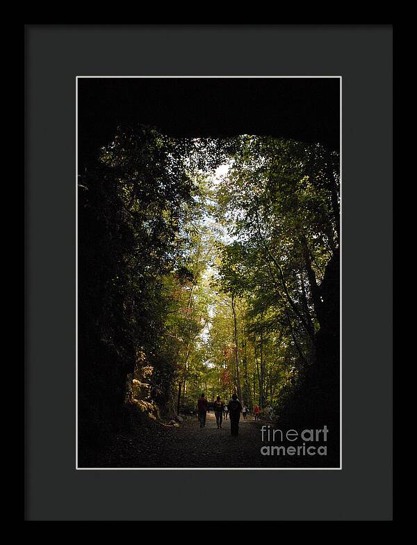Stroll Through Forest Tunnel - Framed Print