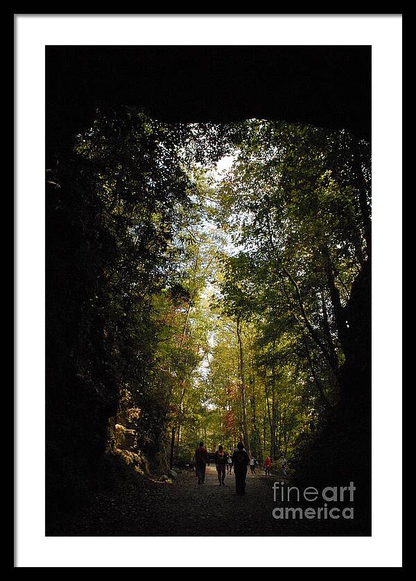 Stroll Through Forest Tunnel - Framed Print