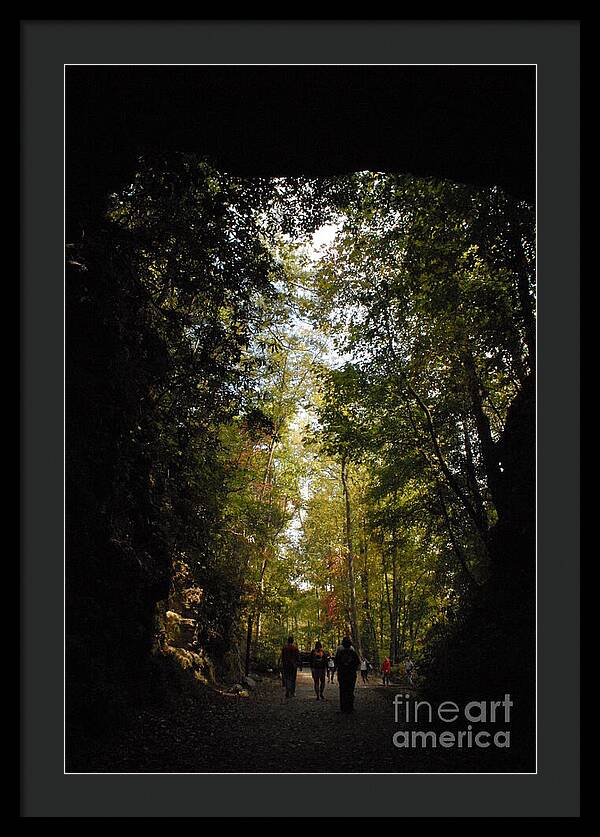 Stroll Through Forest Tunnel - Framed Print