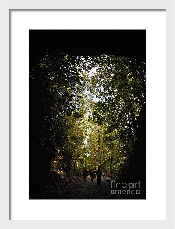 Stroll Through Forest Tunnel - Framed Print