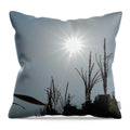 Sunlight Over Cornfield - Throw Pillow