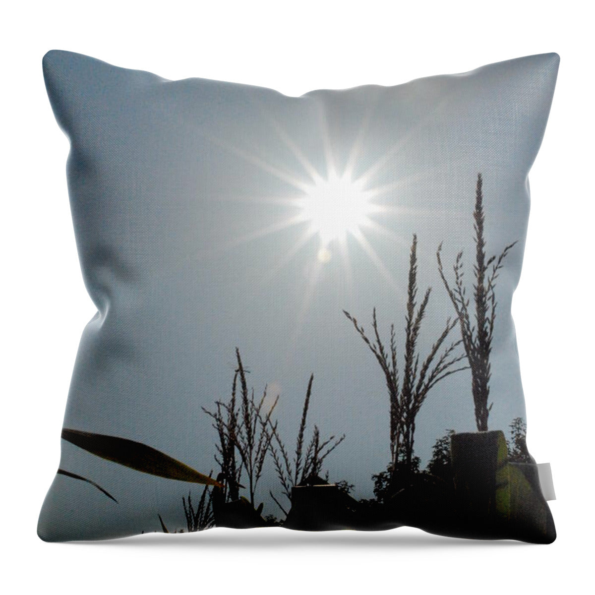 Sunlight Over Cornfield - Throw Pillow