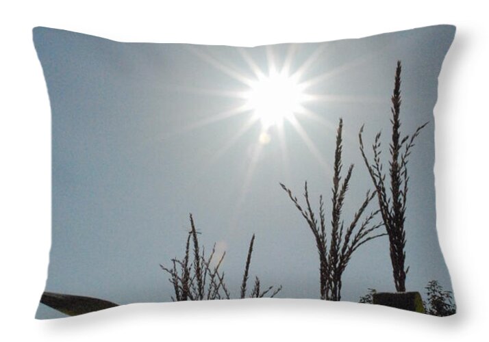 Sunlight Over Cornfield - Throw Pillow
