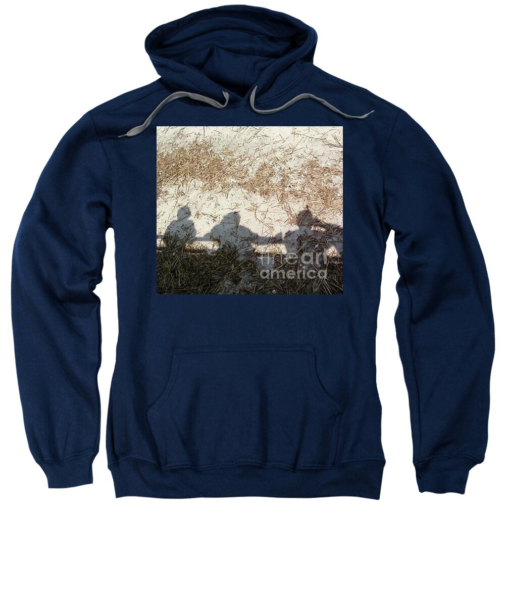 Three Shadows on Sandy Shore Cotton Blend Hoodie Sweatshirt, Machine Washable, Available in Multiple Sizes