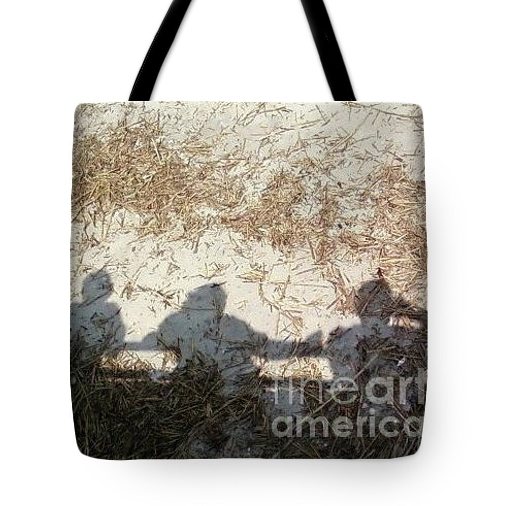 Three Shadows on Sandy Shore Tote Bag by Melia LLC – Durable Double-Sided Printed Poly-Poplin Tote with Black Strap