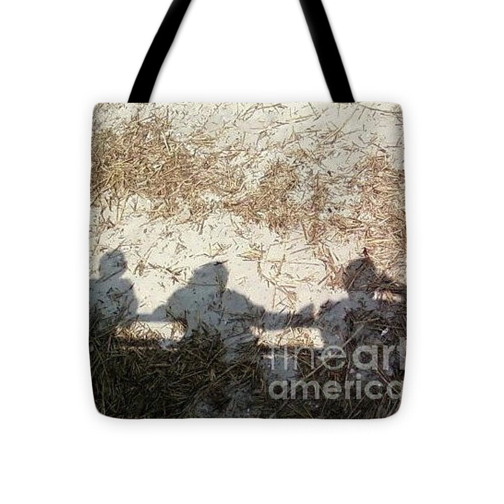 Three Shadows on Sandy Shore Tote Bag by Melia LLC – Durable Double-Sided Printed Poly-Poplin Tote with Black Strap