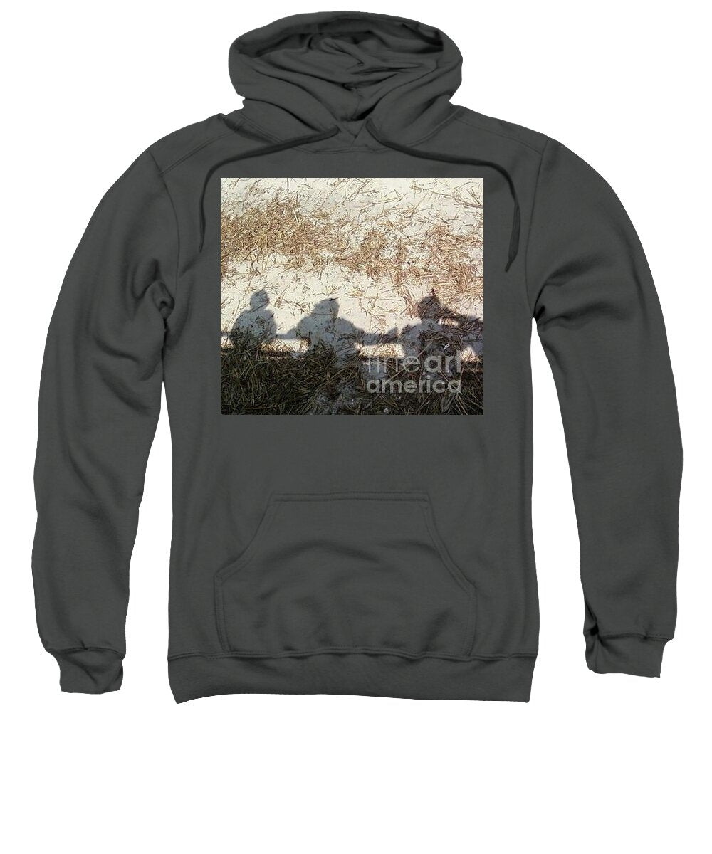 Three Shadows on Sandy Shore Cotton Blend Hoodie Sweatshirt, Machine Washable, Available in Multiple Sizes