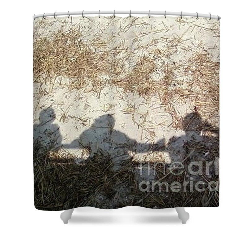 Three Shadows on Sandy Shore - Shower Curtain