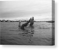 Upside Down Swimmers in the Sea Premium Stretched Canvas Print Ready to Hang