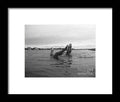 Upside Down Swimmers in the Sea - Framed Print