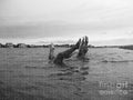 Upside Down Swimmers in the Sea - Puzzle